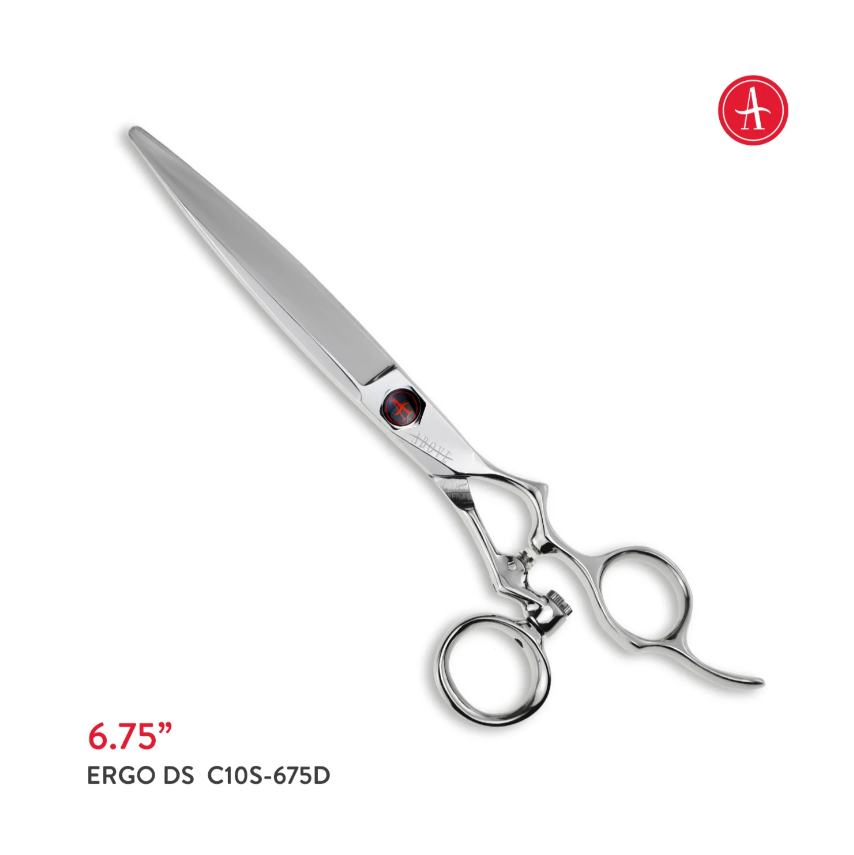 Above Ergo DS Swivel